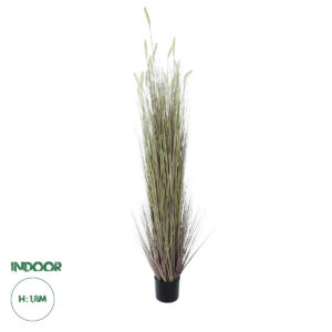GloboStar® Artificial Garden BEIGE LAGURUS 21104 Διακοσμητικό Φυτό Μπεζ Λαγοουρά Υ180cm
