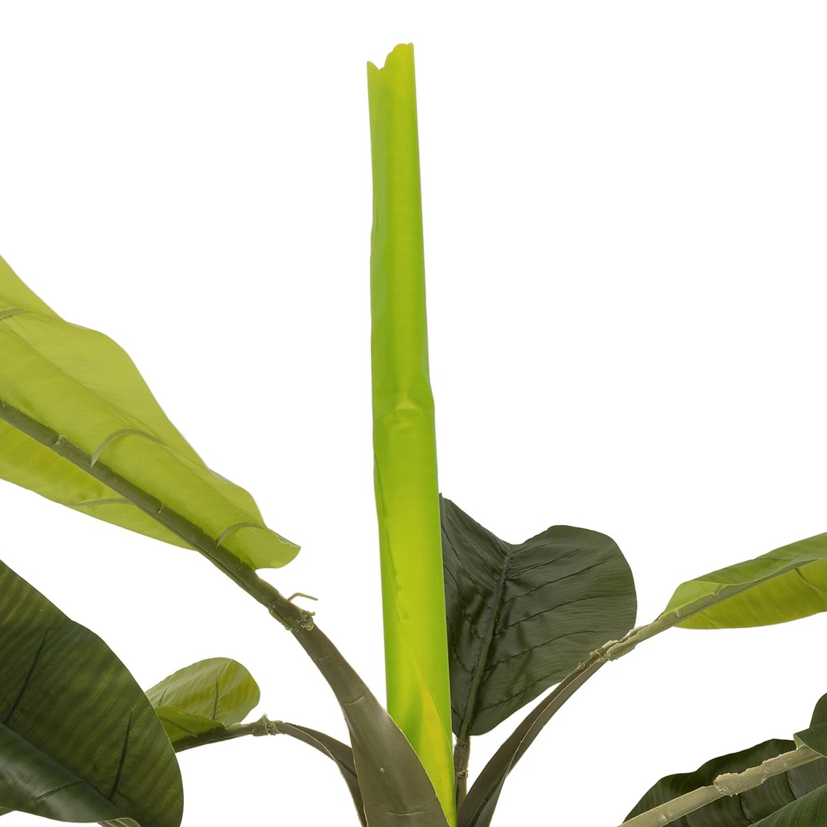 GloboStar® Artificial Garden BANANA TREE 21502 Τεχνητό Διακοσμητικό Δέντρο Μπανανιάς Υ500cm - Image 3