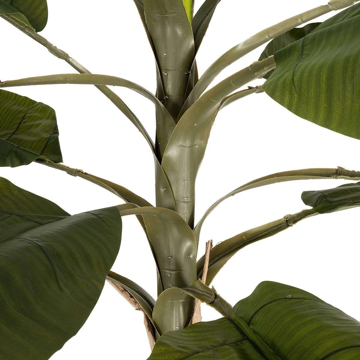 GloboStar® Artificial Garden BANANA TREE 21502 Τεχνητό Διακοσμητικό Δέντρο Μπανανιάς Υ500cm - Image 4