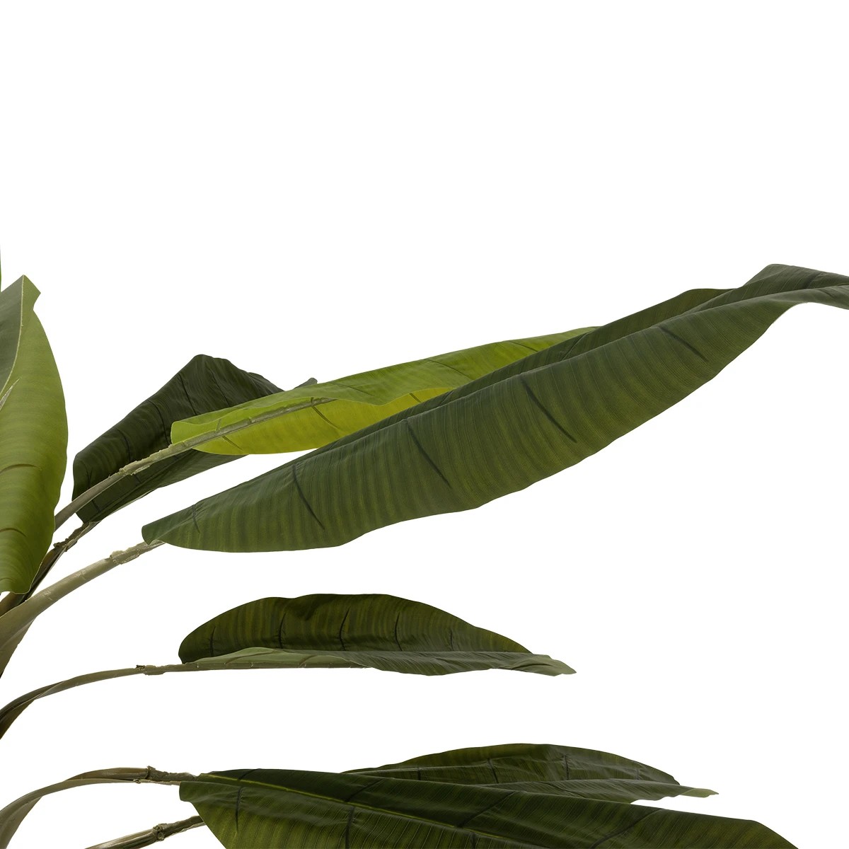 GloboStar® Artificial Garden BANANA TREE 21502 Τεχνητό Διακοσμητικό Δέντρο Μπανανιάς Υ500cm - Image 5
