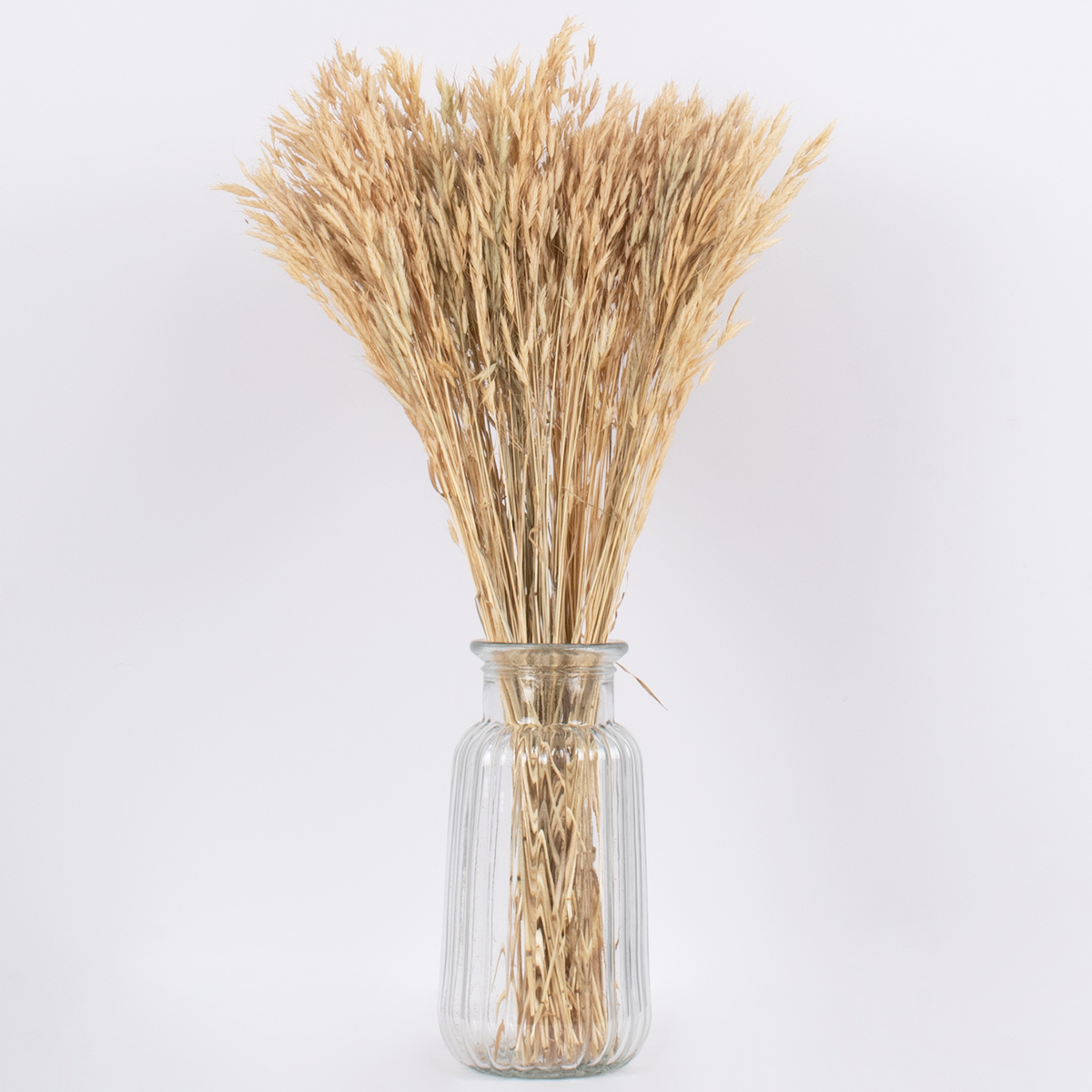 GloboStar® WHEAT 36550 Αποξηραμένο Φυτό Σίτος - Μπουκέτο Διακοσμητικών Κλαδιών Μπεζ Υ60cm - Σετ 100 τμχ - Image 3
