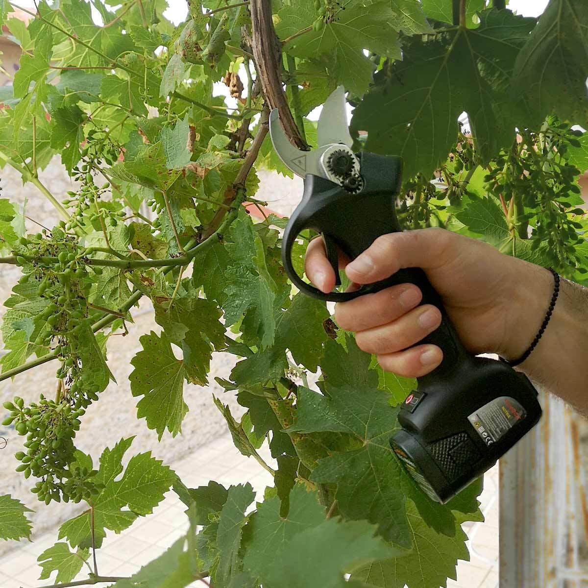 GeHock Ψαλίδι Κλαδέματος Μπαταρίας 16.8V 2x2.6Ah με Μέγιστη Διάμετρο Κοπής 30mm σε Βαλιτσάκι Μεταφοράς - Image 6