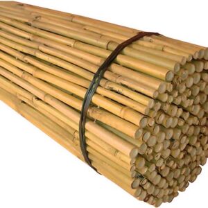 Showood Καλαμωτή Μπαμπού με Ολόκληρο Ξύλο 1.5x2.5m 30274