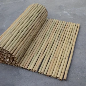 Καλαμωτή Μπαμπού Ø20–25mm - 100 x 250εκ.