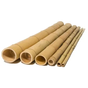 Καλάμι Bamboo Ø12-14 x 300εκ.