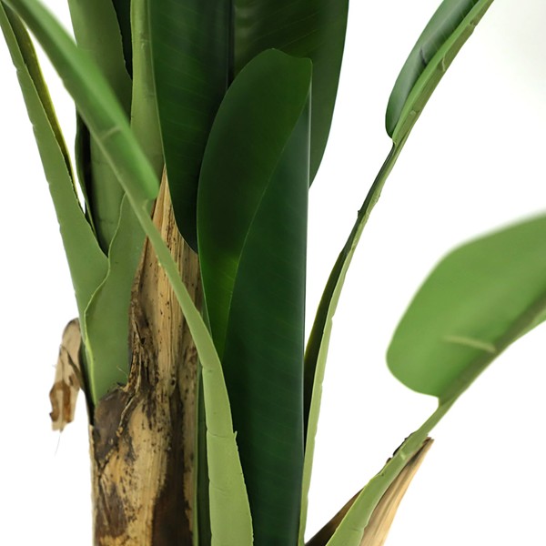 BANANA TREE NP014_120_22 ΥΨΟΣ 120cm NewPlan - Image 2