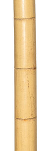 Μπαμπού Βέργες Στήριξης Φυτών 300(h)cm , Ø 10-12mm (#3041)