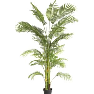 PALM TREE NP5500_240_22 ΥΨΟΣ 240cm NewPlan