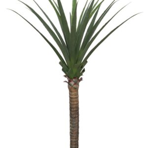 AGAVE TREE  NP802_160  ΥΨΟΣ 160cm NewPlan
