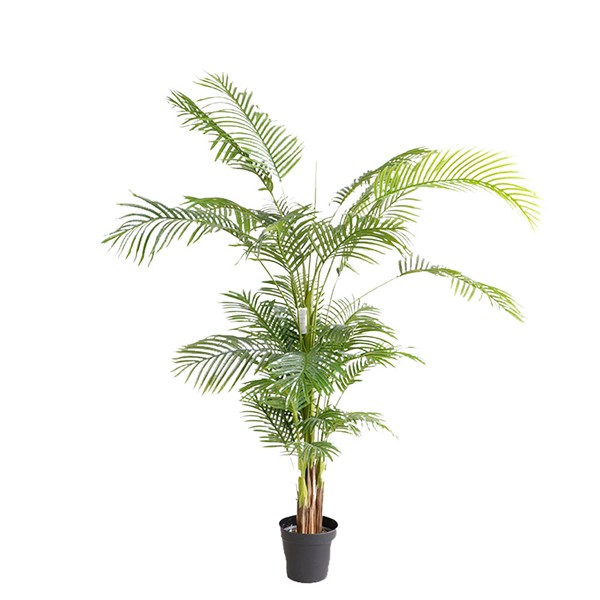 PALM TREE NP5502_180_22 ΥΨΟΣ 180cm NewPlan