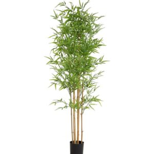 BAMBOO NP6321_180_22 ΥΨΟΣ 180cm NewPlan
