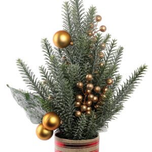 Στολισμένο Διακοσμητικό Κασπώ 50cm (#23475)