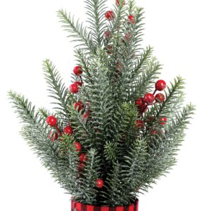 Στολισμένο Διακοσμητικό Κασπώ 50cm (#23476)