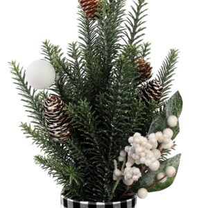 Στολισμένο Διακοσμητικό Κασπώ 50cm (#23477)